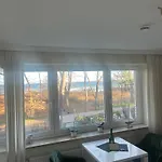 Seepferdchen